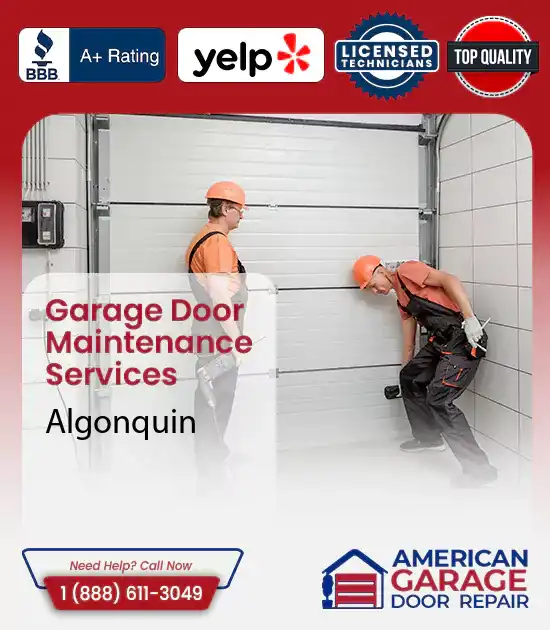 Garage Door Maintenance Services Algonquin 