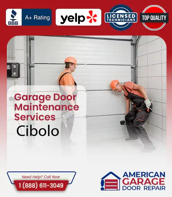 Garage Door Maintenance Services Cibolo 